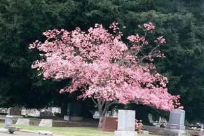 Ukiah Cemetery on Sysoon