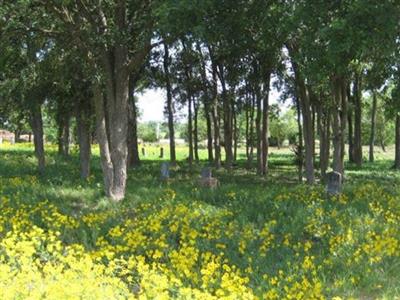 Union Hill Cemetery on Sysoon