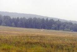 United Airlines Flight 93 Crash Site on Sysoon