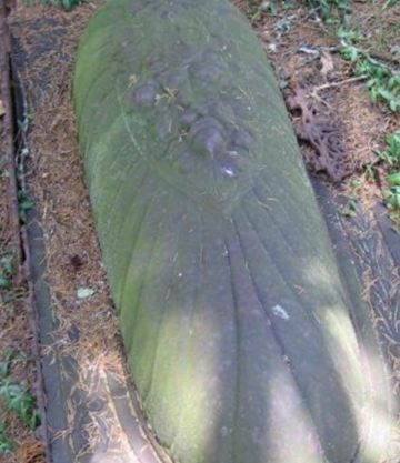 Unknown on Sysoon
