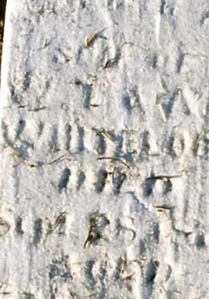 Unknown A. Whitelock on Sysoon