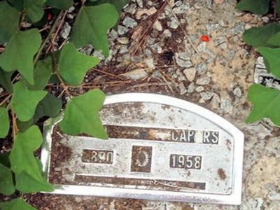 Unknown Capers on Sysoon