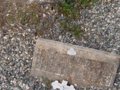 Unknown Haddock on Sysoon