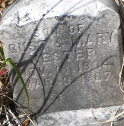Unknown Nester on Sysoon