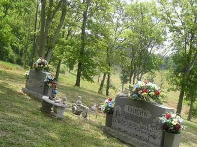 Vaughn Family Cemetery on Sysoon