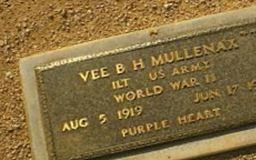Vee B H Mullenax on Sysoon