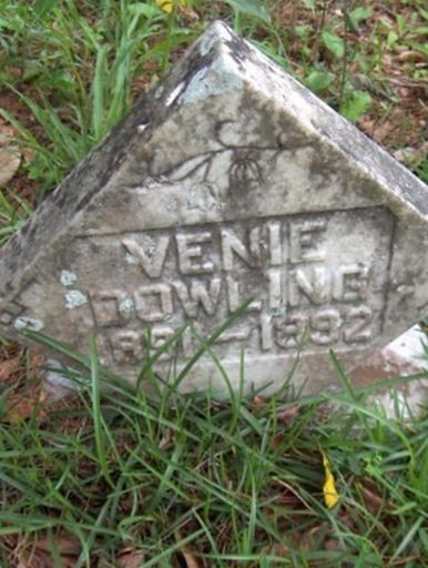 Venie Dowling on Sysoon