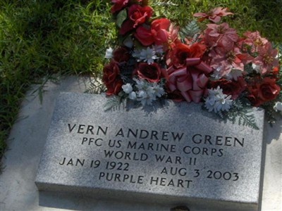 Vern Andrew Green on Sysoon