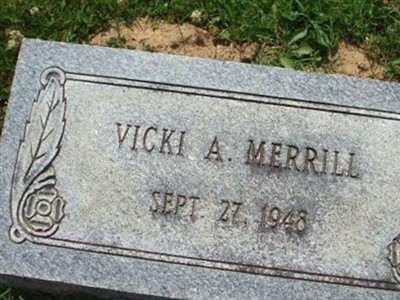 Vicki A Merrill on Sysoon