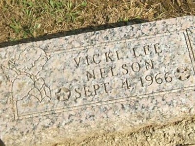 Vicki Lee Nelson on Sysoon