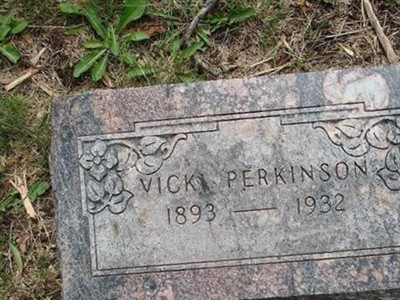 Vicki Perkinson on Sysoon