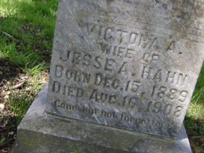 Victoria A Dulaney Hahn on Sysoon