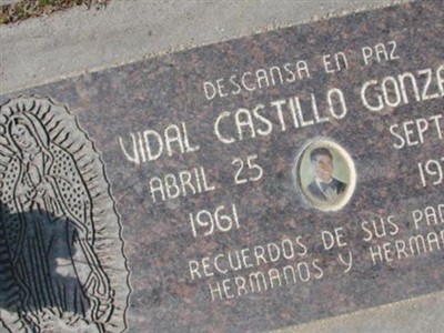 Vidal Castillo Gonzalez on Sysoon