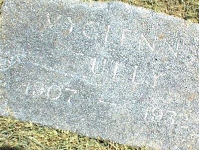 Viglenna Elenora (Middlebusher) Tully on Sysoon