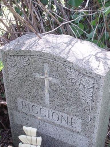 Vincent Piccione on Sysoon