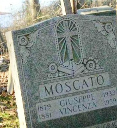 Vincenza Moscato on Sysoon
