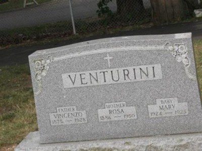 Vincenzo Venturini on Sysoon
