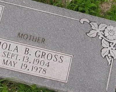 Viola B. (Gross) Ladewig on Sysoon