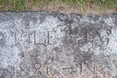 Violet Jane Code on Sysoon