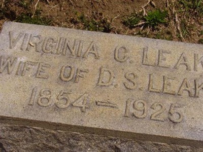 Virginia C. Leake on Sysoon