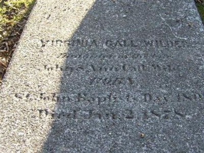 Virginia Gall Wilder on Sysoon