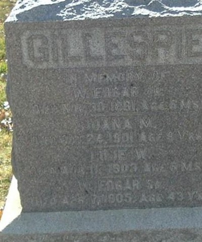 W Edgar Gillespie, Jr on Sysoon