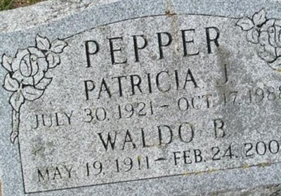 Waldo B Pepper on Sysoon