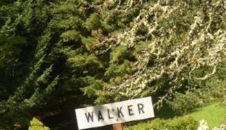 Walker Cemetery on Sysoon