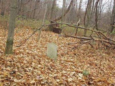 Wallis-Hicks Burial Grounds on Sysoon