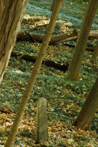 Walnut Grove Cemetery (Chittenango) on Sysoon