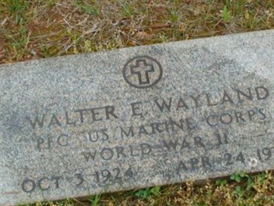 Walter E Wayland on Sysoon