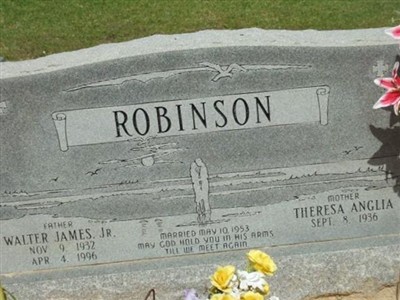 Walter James Robinson, Jr on Sysoon