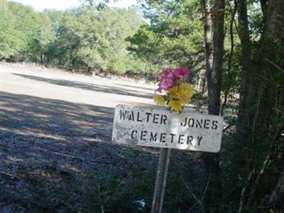 Walter Jones Cemetery on Sysoon
