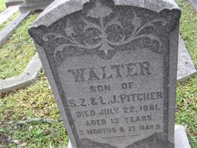 Walter Pitcher on Sysoon