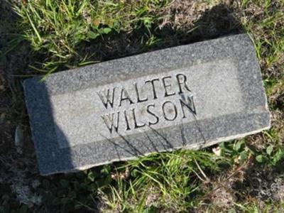 Walter Wilson on Sysoon