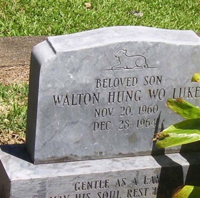 Walton Hung Wo Luke on Sysoon