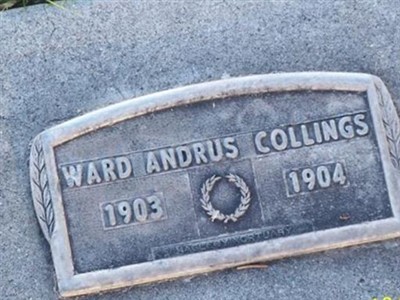 Ward Andrus Collings on Sysoon