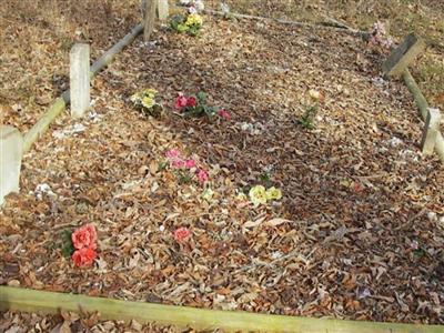 Ward Cemetery on Sysoon