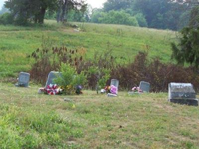 Waterview Cemetery on Sysoon