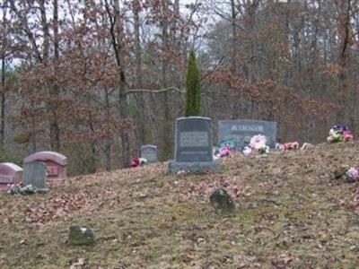 Watkins Family Cemetery on Sysoon