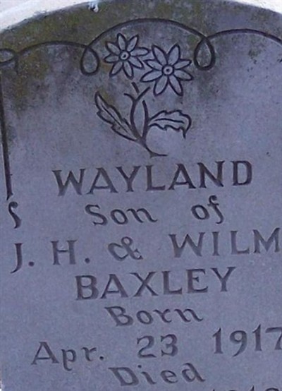 Wayland Baxley on Sysoon
