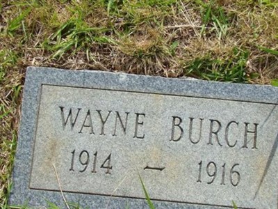 Wayne Burch on Sysoon