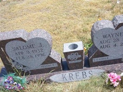 Wayne E. Krebs on Sysoon