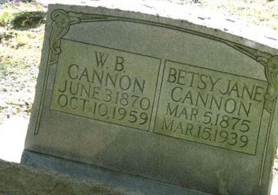 W. B. Cannon on Sysoon