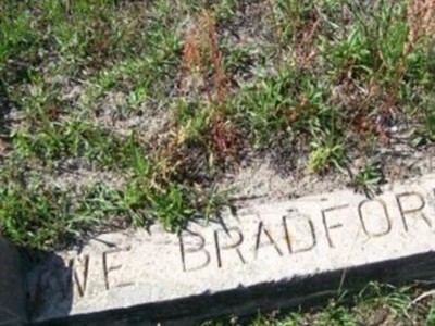 W. E. Bradford/Plot on Sysoon