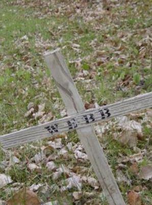 Webb Cemetery on Sysoon