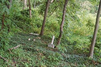 Webster Family Cemetery on Sysoon