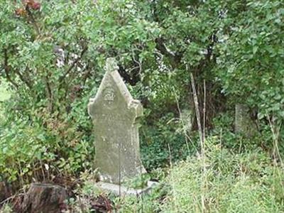 Wells Family Cemetery on Sysoon