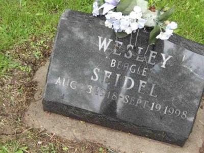 Wesley 'Beagle' Seidel on Sysoon