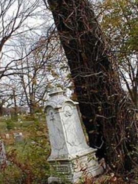 Wesleyan Cemetery on Sysoon